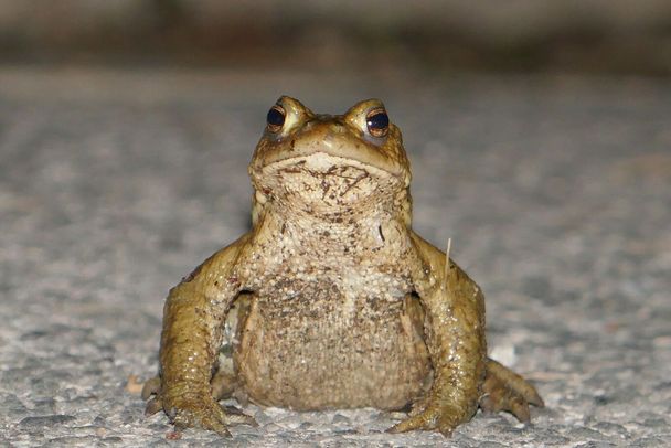 Foto: Jan Ebert